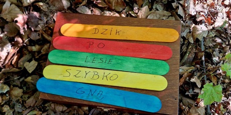 Powiększ grafikę: gry terenowe