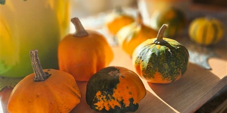 Powiększ grafikę: książki i dynie