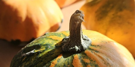 Powiększ grafikę: książki i dynie