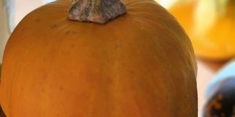 Powiększ grafikę: książki i dynie