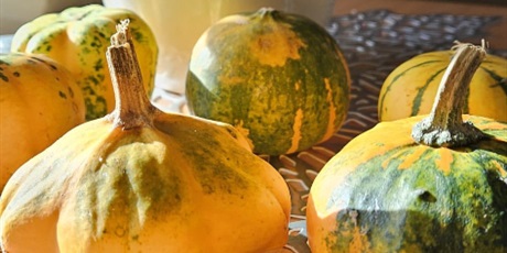 Książki w towarzystwie dyń