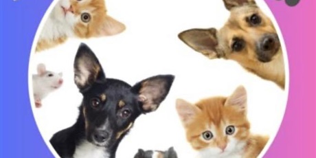 Mój pupil - konkurs międzyszkolny