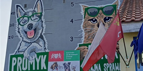 Powiększ grafikę: Zbiórka SP-15 dla schroniska